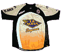 Arsenal Alternativa 2010