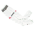 River Medias 2008